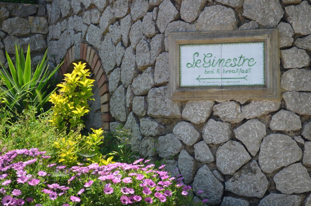 أناكابْري Le Ginestre Di Capri Bb & Holiday House المظهر الخارجي الصورة