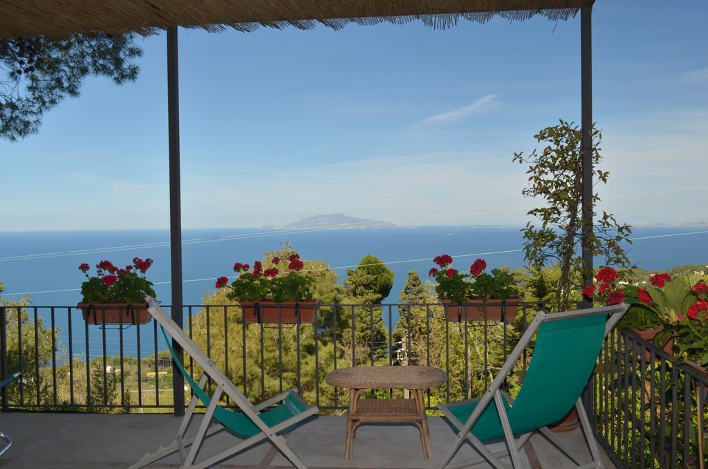 أناكابْري Le Ginestre Di Capri Bb & Holiday House المظهر الخارجي الصورة