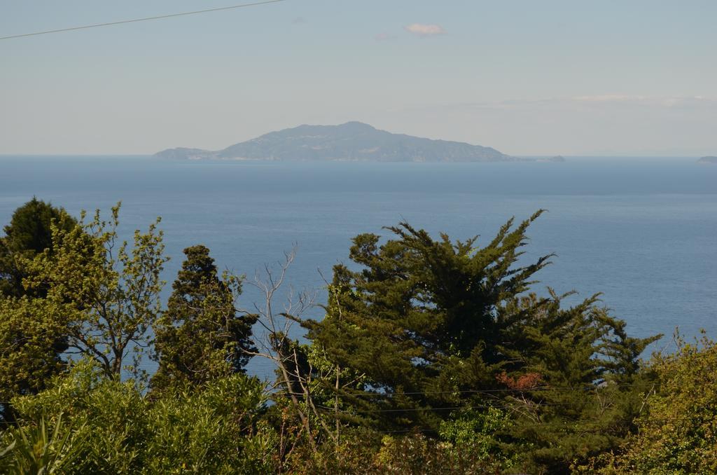 أناكابْري Le Ginestre Di Capri Bb & Holiday House المظهر الخارجي الصورة
