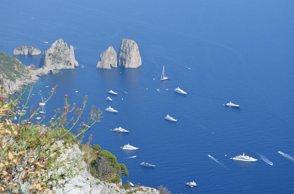 أناكابْري Le Ginestre Di Capri Bb & Holiday House المظهر الخارجي الصورة