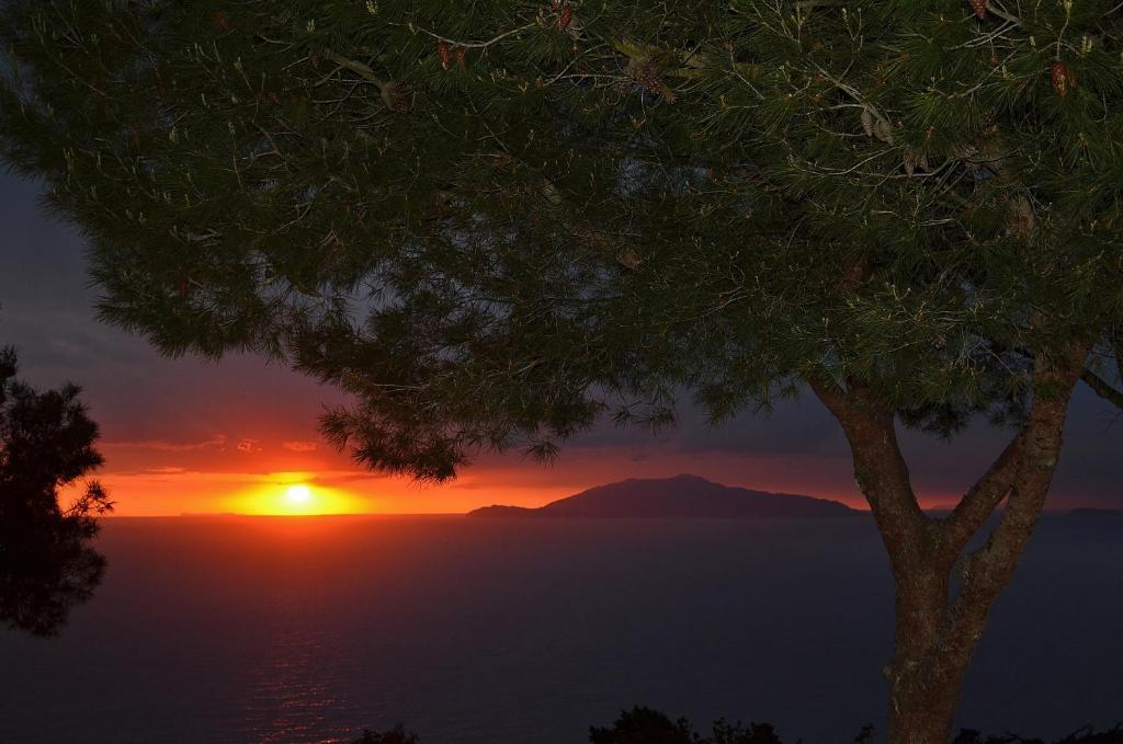 أناكابْري Le Ginestre Di Capri Bb & Holiday House الغرفة الصورة