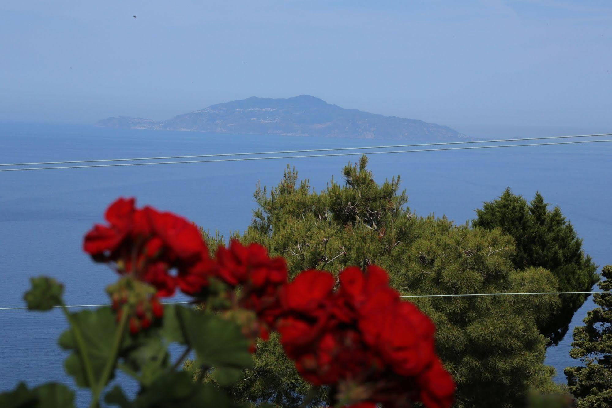 أناكابْري Le Ginestre Di Capri Bb & Holiday House المظهر الخارجي الصورة