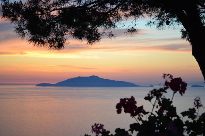 أناكابْري Le Ginestre Di Capri Bb & Holiday House المظهر الخارجي الصورة